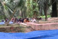 Ratusan Warga Desa Badang duduki Lahan Perkebunan Sawit PT DAS, Buntut Sengketa Tanah Ulayat