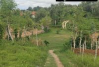 Warga Dusun Polai Timur Bira Tengah Mengeluh Minta Pengaspalan Jalan Poros Desa, Tak Pernah Terpenuhi 