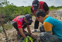 Pemdes Teluk Rhu Sambut Hari Jadi ke 512 Kabupaten Bengkalis melaksanakan penanaman Pohon guna Penghijauan Desa