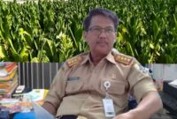 Dukungan Pemerintah dan Teknologi dalam Panen Tembakau di Sampang