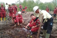 Cegah Abrasi Pantai PT.Marita Makmur Jaya Pu Rupat lakukan gerakan tanam Bakau Satu Juta Pohon