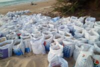 Rusak Lingkungan, Penambangan Pasir Pantai di Sumenep Disorot Warga
