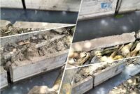 Menunggu Tindakan PUPR Kabupaten Sampang, Proyek Drainase Selong Permai di Bawah Sorotan
