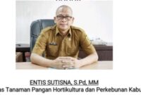UPAYA PENGENDALIAN HAMA TERPADU (PHT) DALAM RANGKA PENINGKATAN PRODUKSI PERTANIAN DI KAB. BOGOR