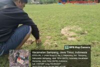 Proyek Lapangan Sepak Bola di Sampang Diduga Dipaksakan PHO untuk Hindari Denda