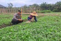 Dekat dengan Petani, Bhabinkamtibmas Polsek Stabat Dorong Ketahanan Pangan di Desa Karang Rejo