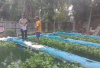 Bhabinkamtibmas Polsek Stabat Ajak Warga Desa Banyumas Manfaatkan Pekarangan untuk Ketahanan Pangan
