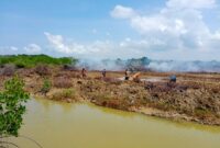 Diduga Kepala Desa di Kecamatan Pademawu ini Terlibat Penebangan Pohon Mangrove Ilegal.