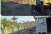 Warga dusun-X petak-14 paret serong Keluhkan Aroma Menyengat Dari Kandang Ternak Ayam