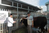 Presiden RI Salurkan Sapi Kurban, Bupati Anwar Sadat Serahkan ke Masjid Agung Al-Istiqomah