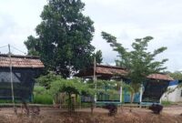 Diduga Jadi Lokasi Transaksi Prostitusi Terselubung, Gubuk di Desa Sri Agung Jadi Sorotan Warga