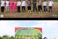 Kapolres Langkat laksanakan Penanaman Jagung Kuartal III di lahan Bhayangkara.