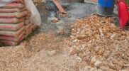Pekerjaan Rabat Beton di Karangpenang Onjur Tuai Sorotan, Anggaran Masih Misterius