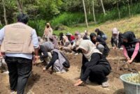 PPK Ormawa Himakaha Unhas Launching Lahan Hijauan, 1.500 Stek Unggul Resmi Ditanam