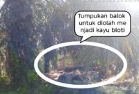 Dugaan Bisnis Ilegal Logging di Desa Tanah Tumbuh, Kapolsek Merlung: Anggota Saya Sudah Turun yang Punya Oknum TNI