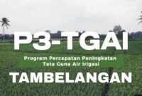 Belum dikerjakan, Ketua Proyek Hippa Adelia Jaya Sembunyi dibalik Pencairan Anggaran