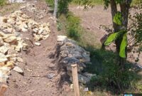 Proyek P3TGAI di Aengdake Diduga Gagal Total, Pendamping Bungkam