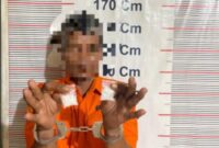 Polsek Bahorok Tangkap Pengedar Sabu dengan Barang Bukti 10,71 Gram