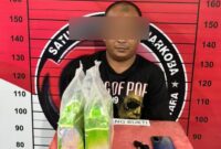 Salah Seorang Mantan Musisi Aceh Asal Bireuen Ditangkap Polisi, 1,87 Kilogram Sabu Diamankan