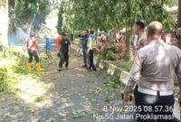 Satlantas Polres Langkat Bergerak Cepat Bersama DLH dan BPBD, Bersihkan Pohon Tumbang di Jalan Tengku Umar