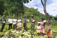 Panen Hasil Kebun Satgas Yonif 521/DY Bersama Masyarakat di Distrik Kurima