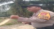 Lagi-lagi; Warga dan Pihak Keamanan Kebun Kembali Berseteru di Area Lahan Sengketa, Netralitas Aparat dan Status KUO Dipertanyakan