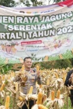 Ikuti Panen Raya Jagung Serentak, Kabupaten Bogor Dukung Penguatan Ketahanan Pangan Nasional