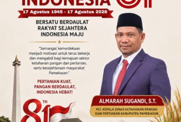 headline-foto
