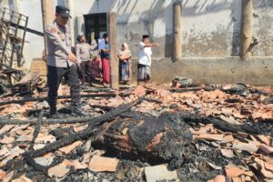 Kandang Sapi Terbakar di Ketapang, Dua Ekor Sapi Mati
