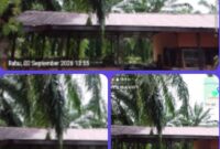 Bantahan Berita menurut pemilik warung nasi yang berada di Jln Letnan Umar Baki Di sini bukan gudang CPO Di sini waru nasi