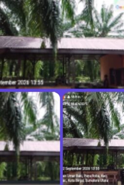 Bantahan Berita menurut pemilik warung nasi yang berada di Jln Letnan Umar Baki Di sini bukan gudang CPO Di sini waru nasi