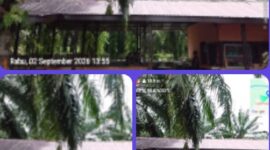 Bantahan Berita menurut pemilik warung nasi yang berada di Jln Letnan Umar Baki Di sini bukan gudang CPO Di sini waru nasi