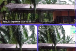 Bantahan Berita menurut pemilik warung nasi yang berada di Jln Letnan Umar Baki Di sini bukan gudang CPO Di sini waru nasi
