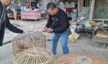 Polsek Waru Gerebek Arena Sabung Ayam di Bungurasih Utara, Lima Ekor Ayam Diamankan