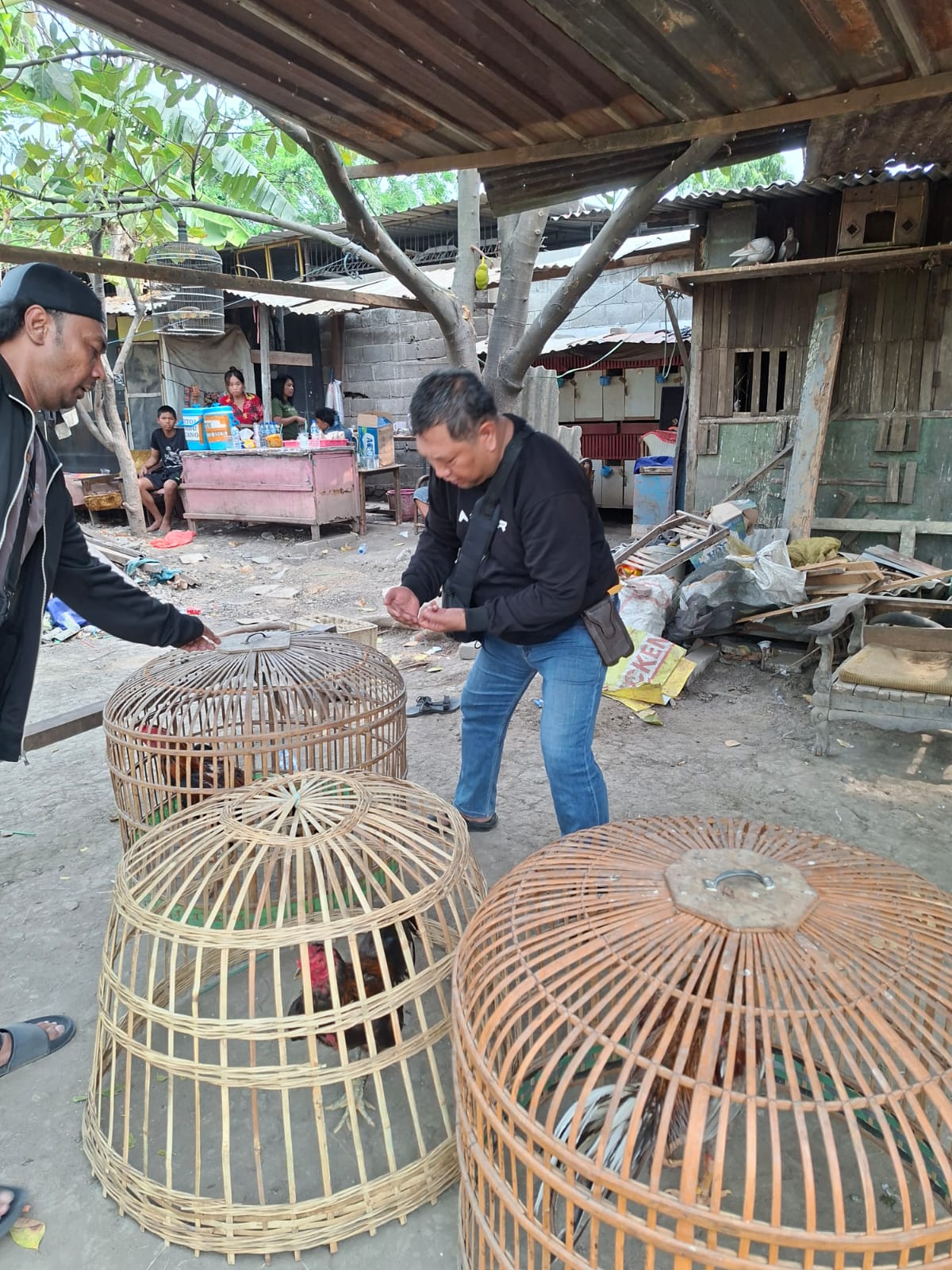 Polsek Waru Gerebek Arena Sabung Ayam di Bungurasih Utara, Lima Ekor Ayam Diamankan
